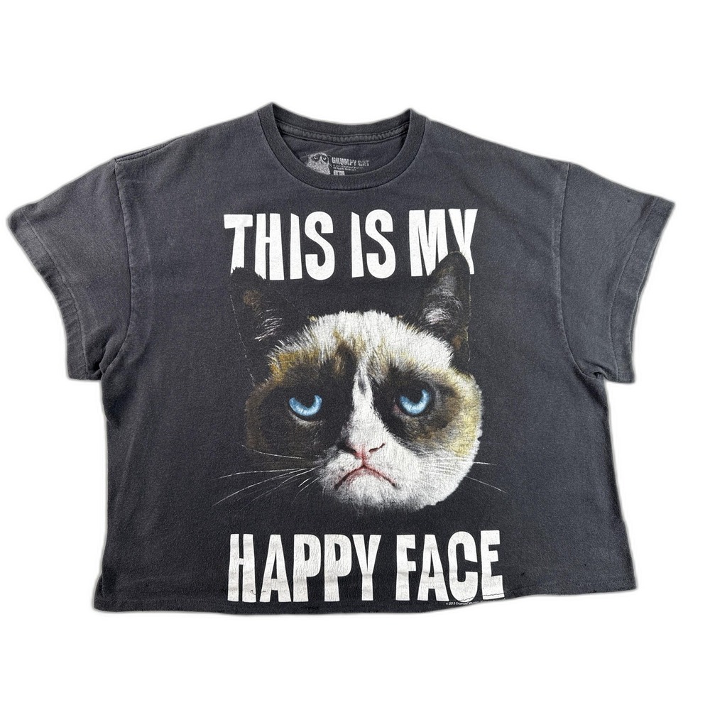Grumpy Cat Meme Graphic Tee Mens L Black 100% Cotton Short Sleeve Crewneck